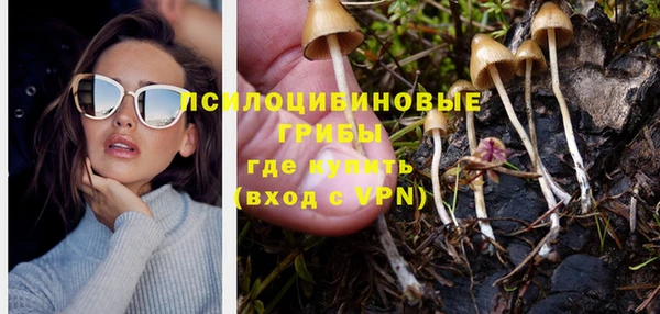 мдпв Михайловка