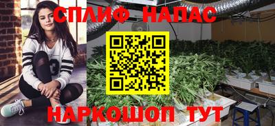 тгк Апшеронск