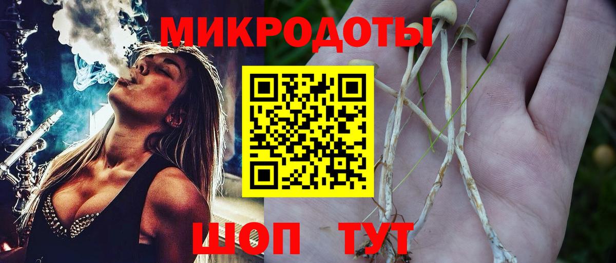 Галлюциногенные грибы Psilocybe Нягань