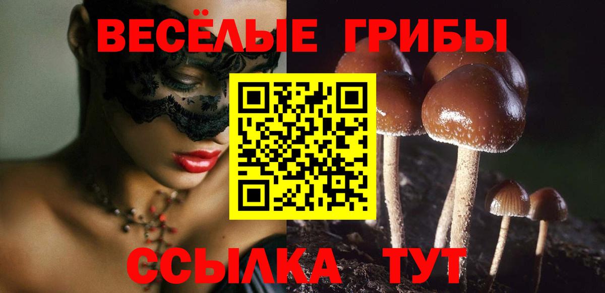 Псилоцибиновые грибы Psilocybine cubensis  купить наркоту  Нягань 