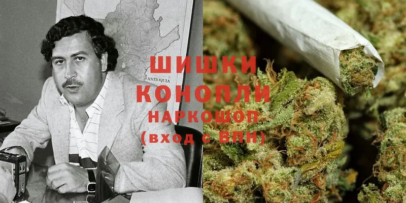 shop телеграм  блэк спрут ссылка  Каннабис Bruce Banner  Нягань  сколько стоит 